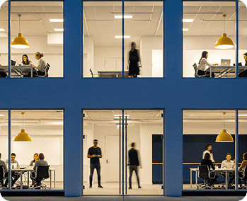 Academia, Certificación y Transgamificación