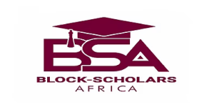 Block-Scholars Africa